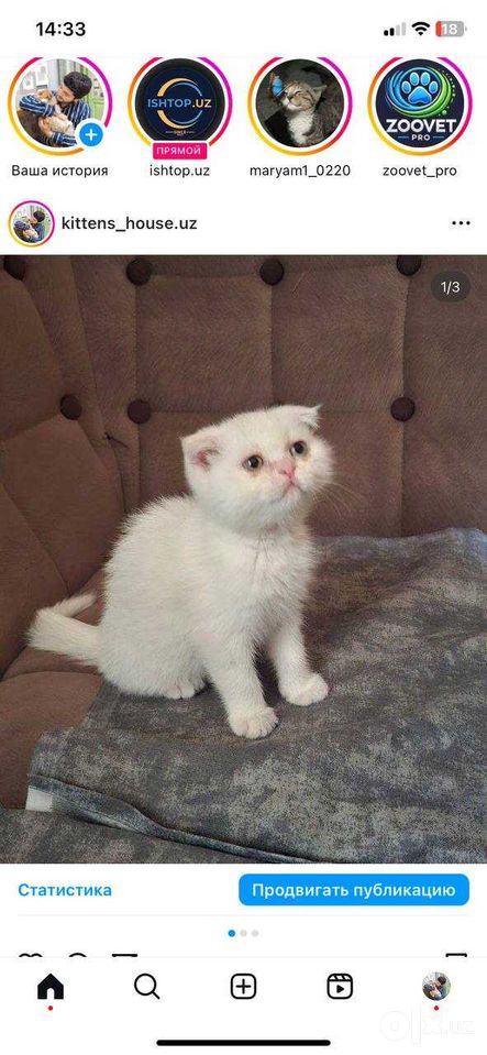 1 300 000 сум