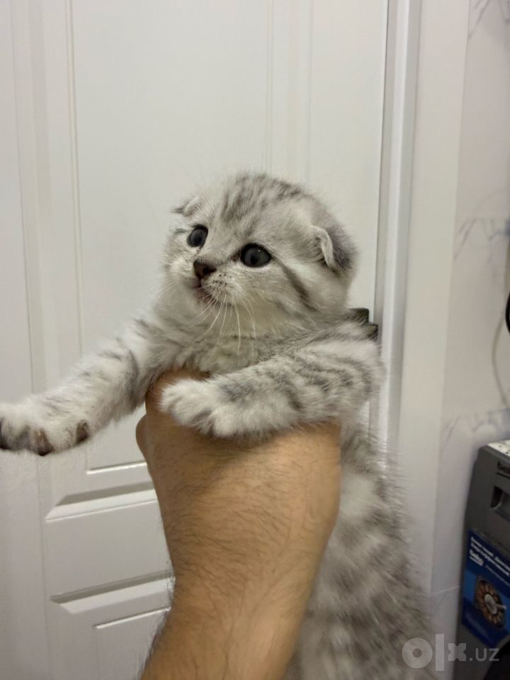 120 USD