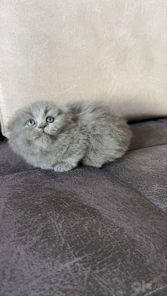 400 000 сум