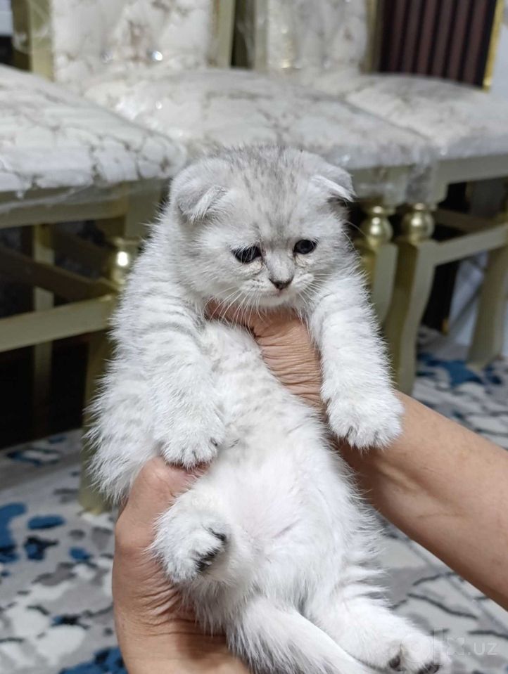 120 USD
