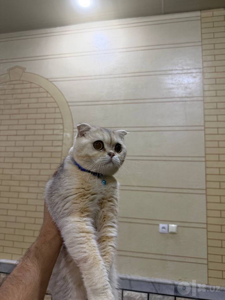 750 000 сум