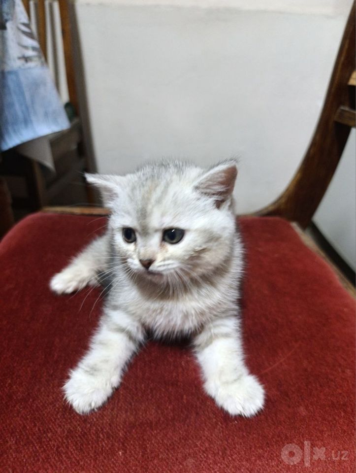 120 USD