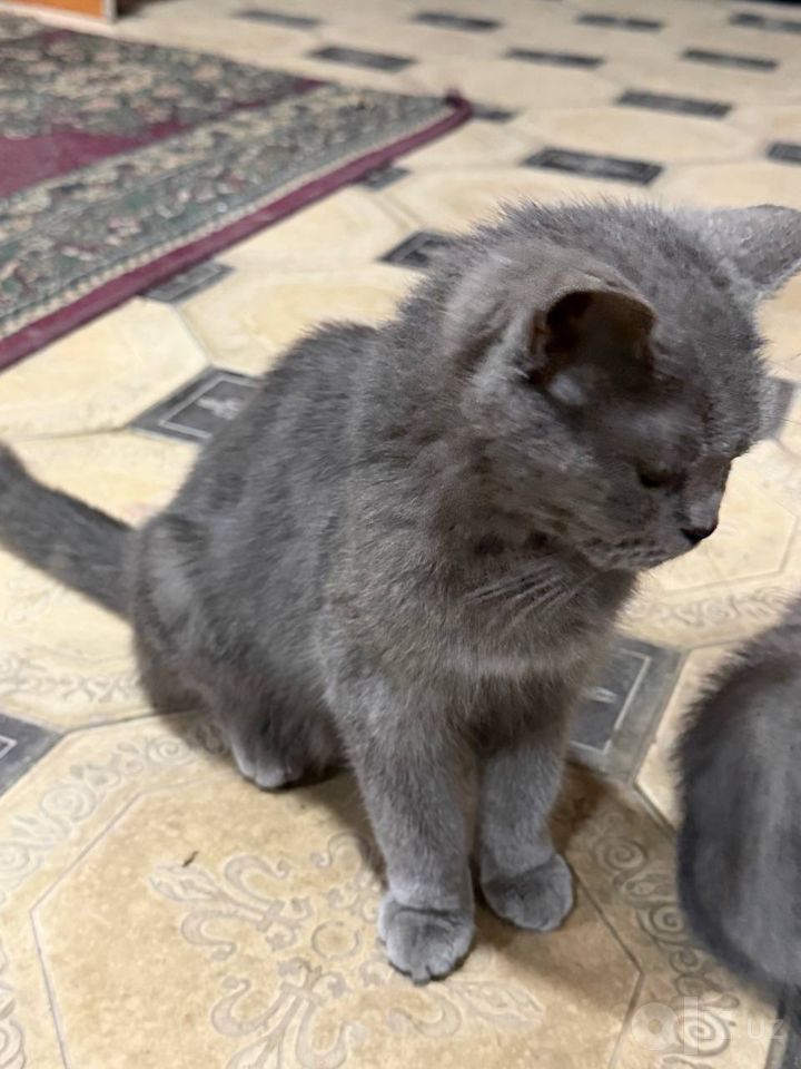 400 000 сум