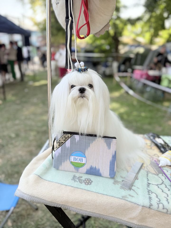 1 000 USD