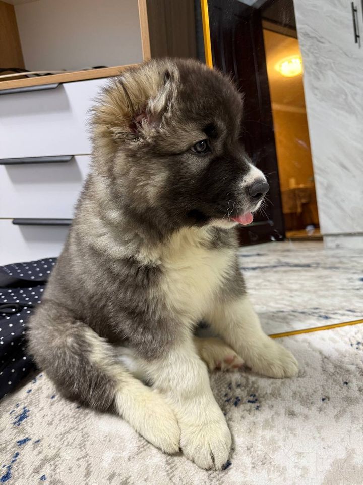 500 USD