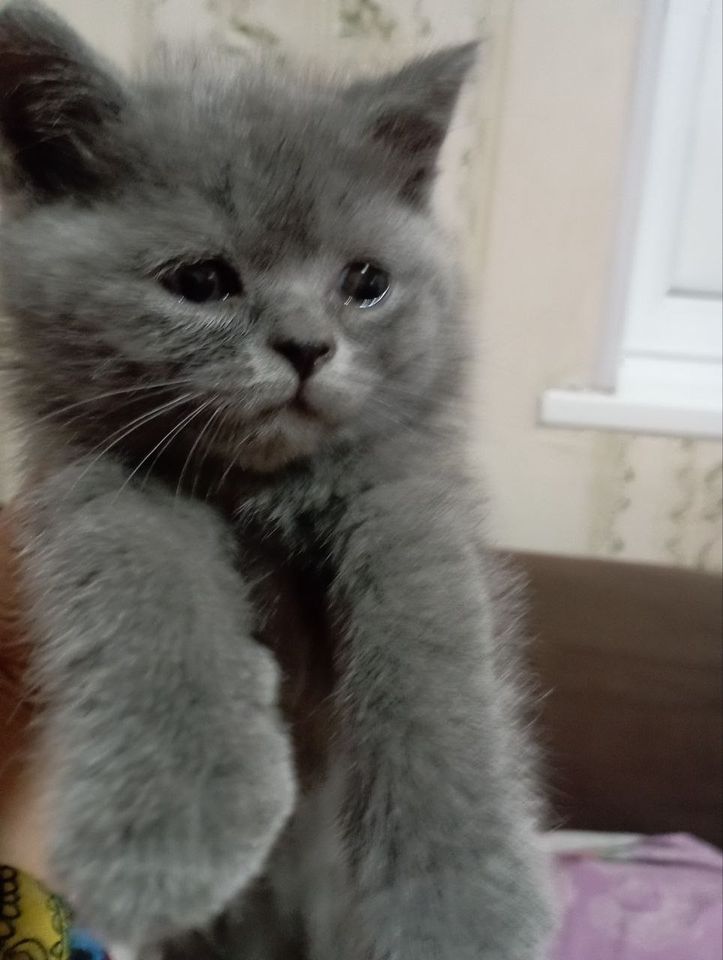 300 000 сум