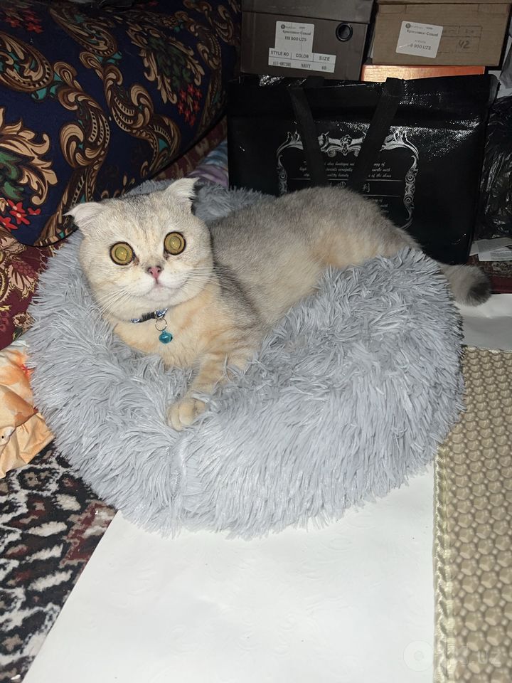 750 000 сум
