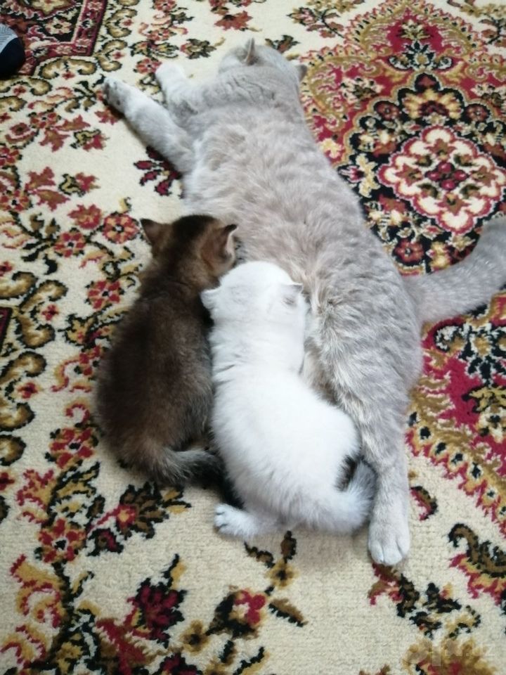 100 USD