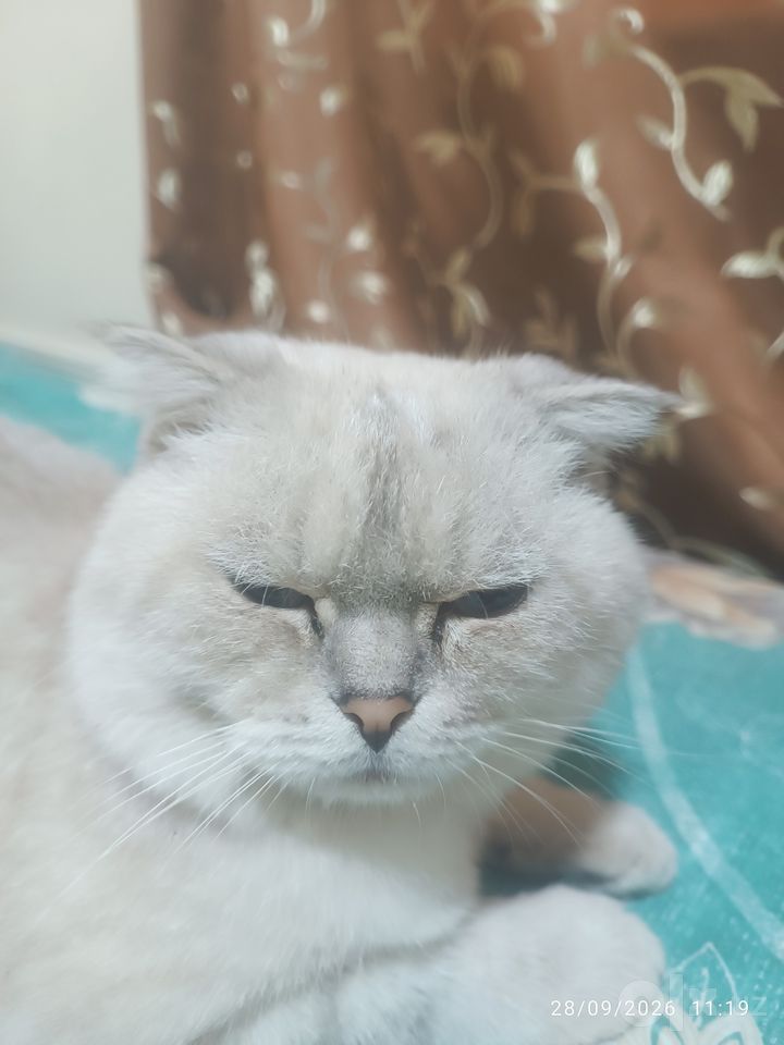 1 200 000 сум