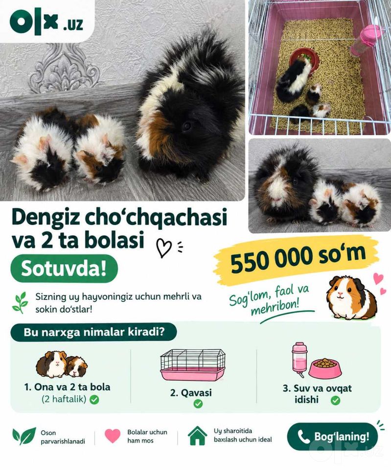 550 000 UZS