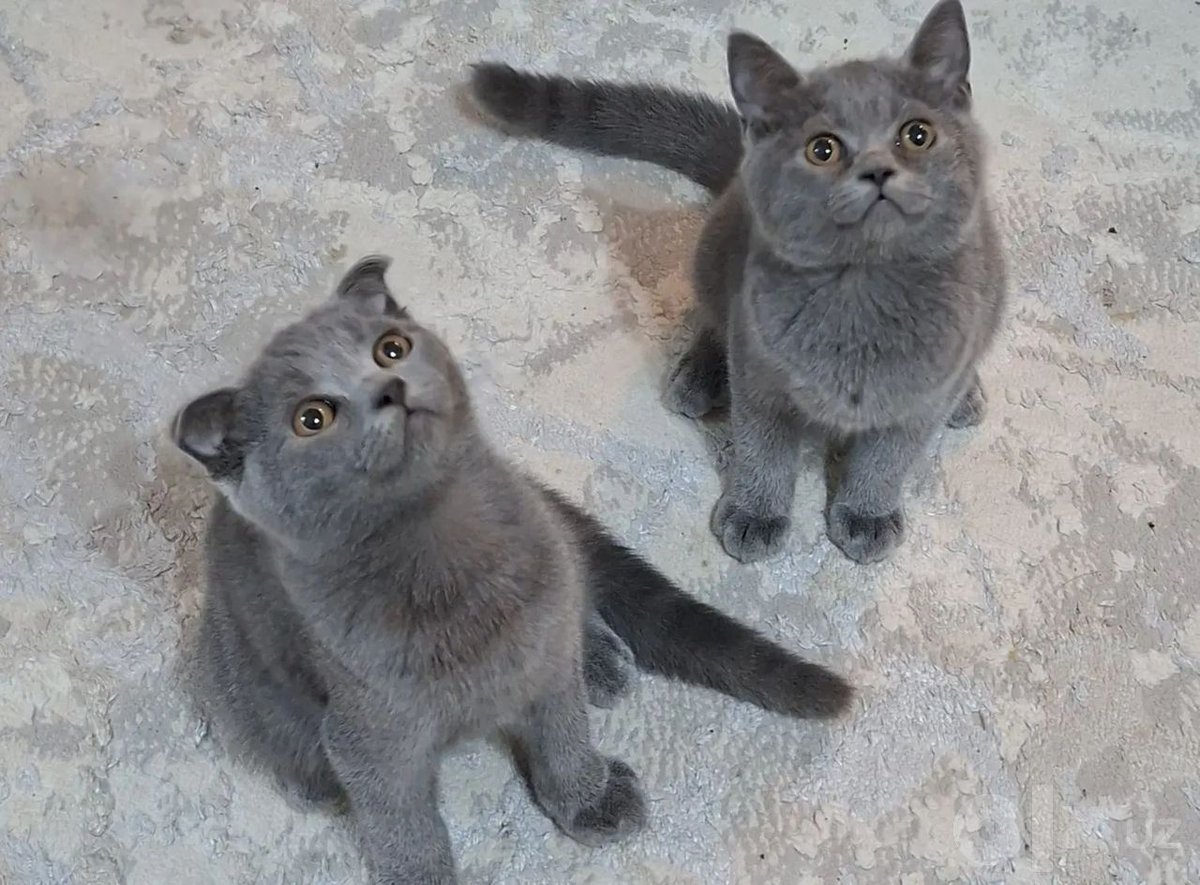 1 000 000 сум