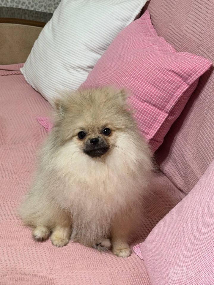 500 USD