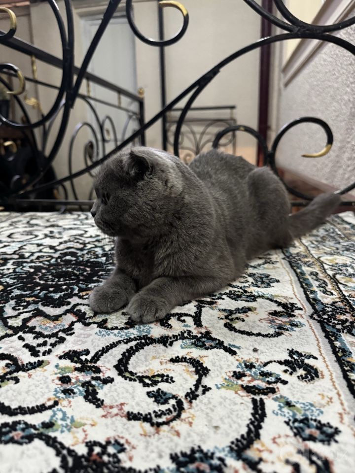 400 000 сум