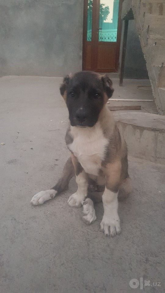 400 USD