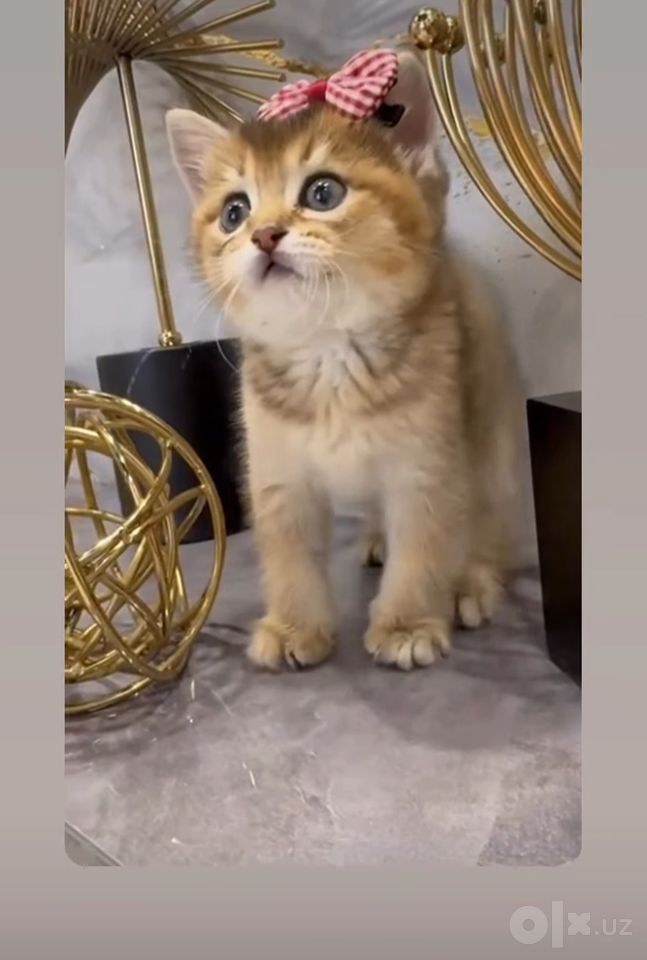 130 USD