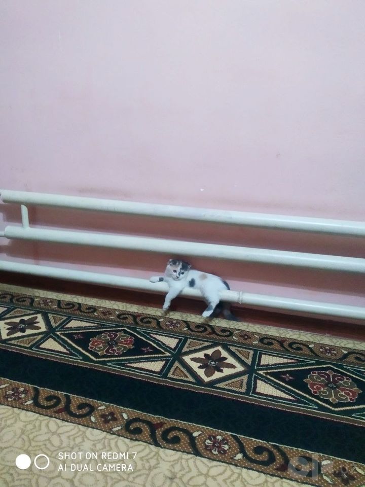 500 000 сум