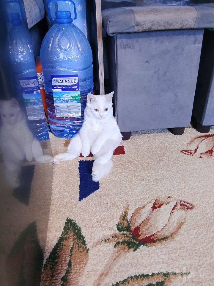 300 000 сум