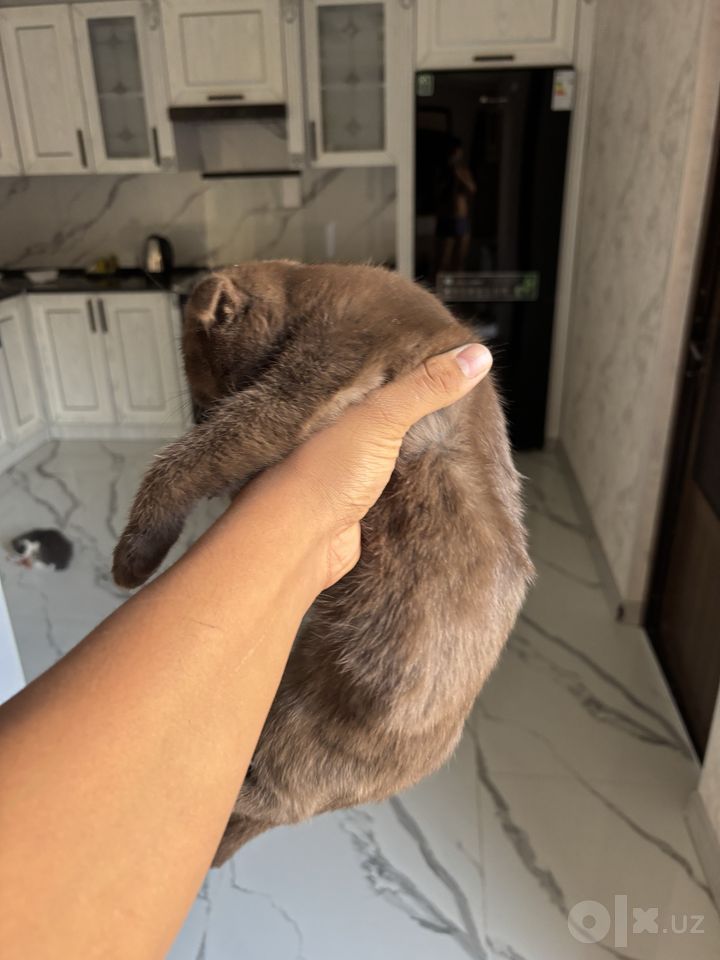 1 000 000 сум