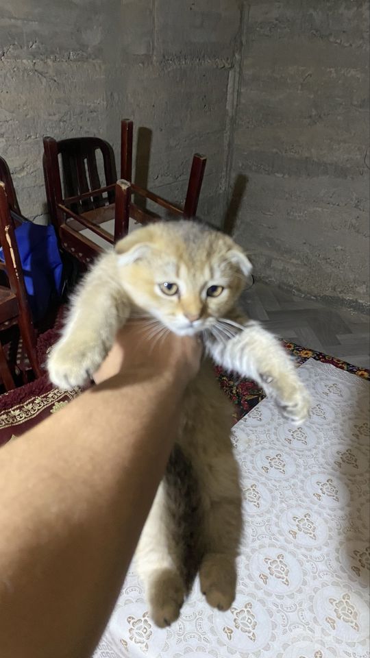 110 USD