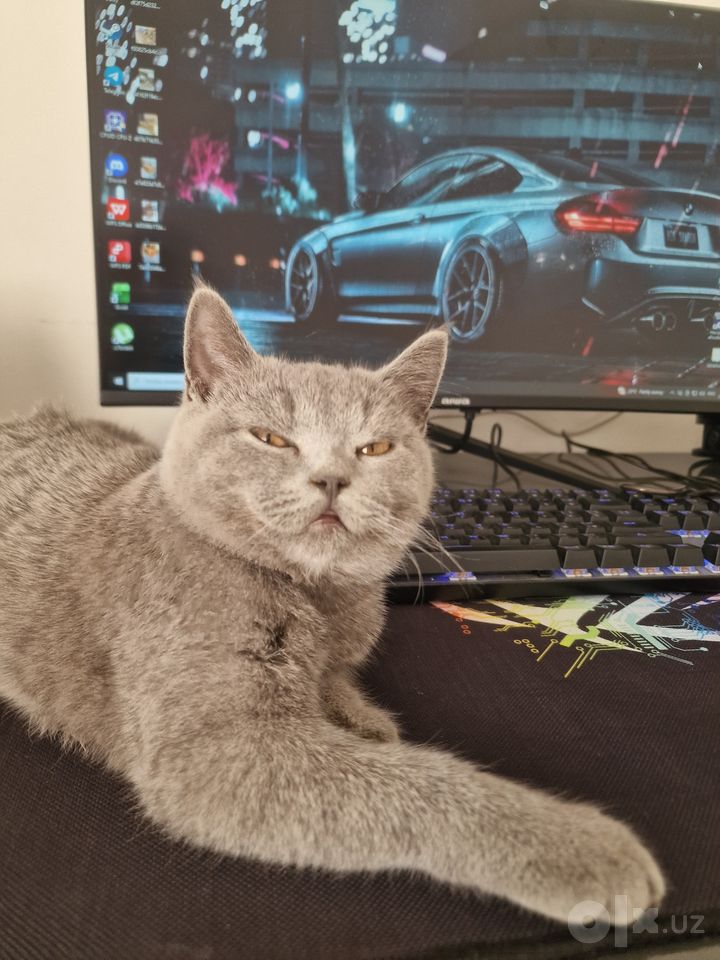 400 000 сум