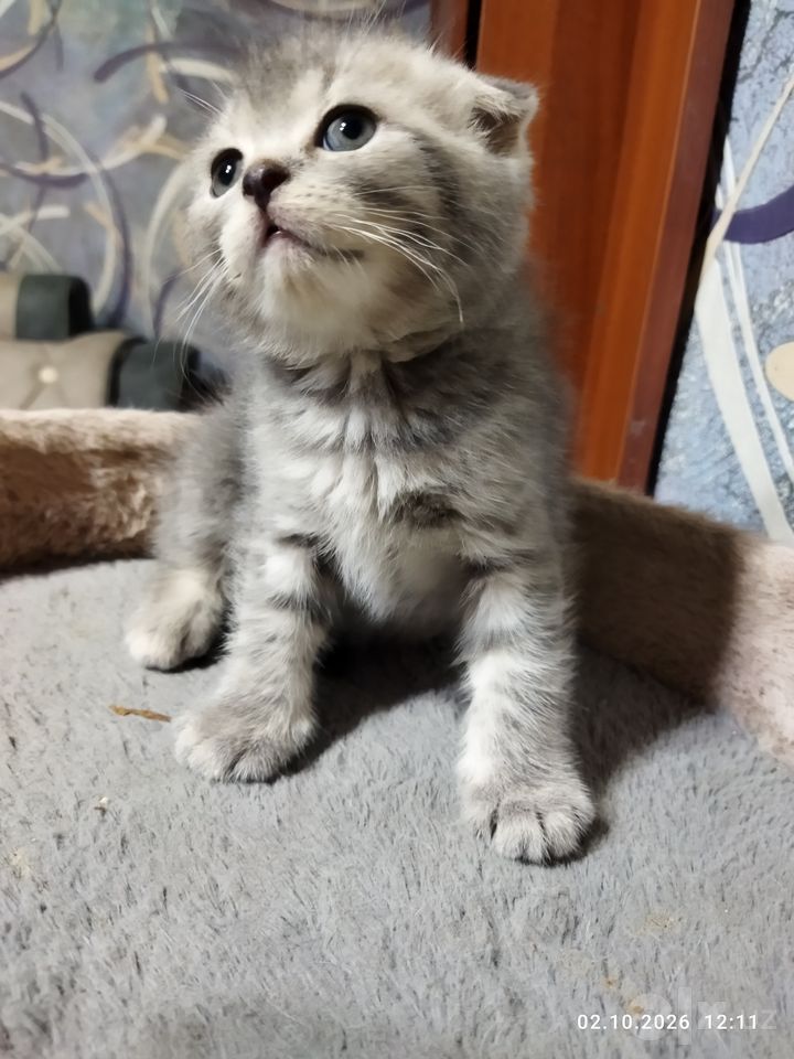 1 100 000 UZS
