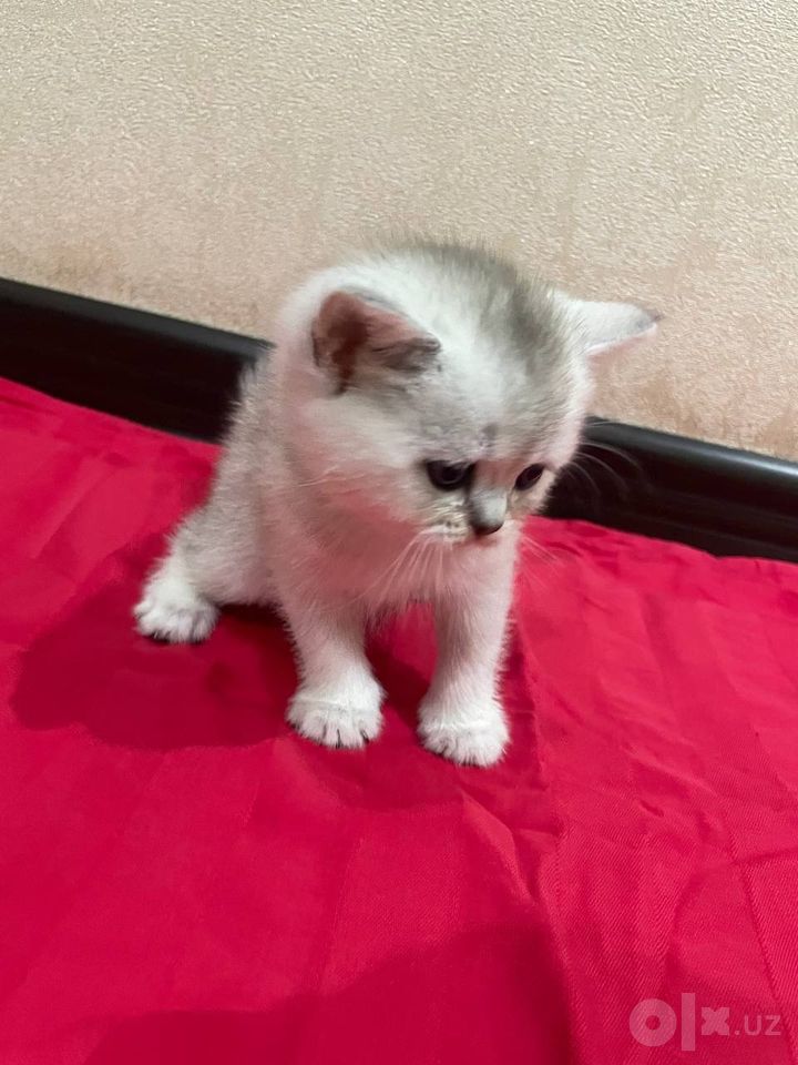 1 000 000 сум