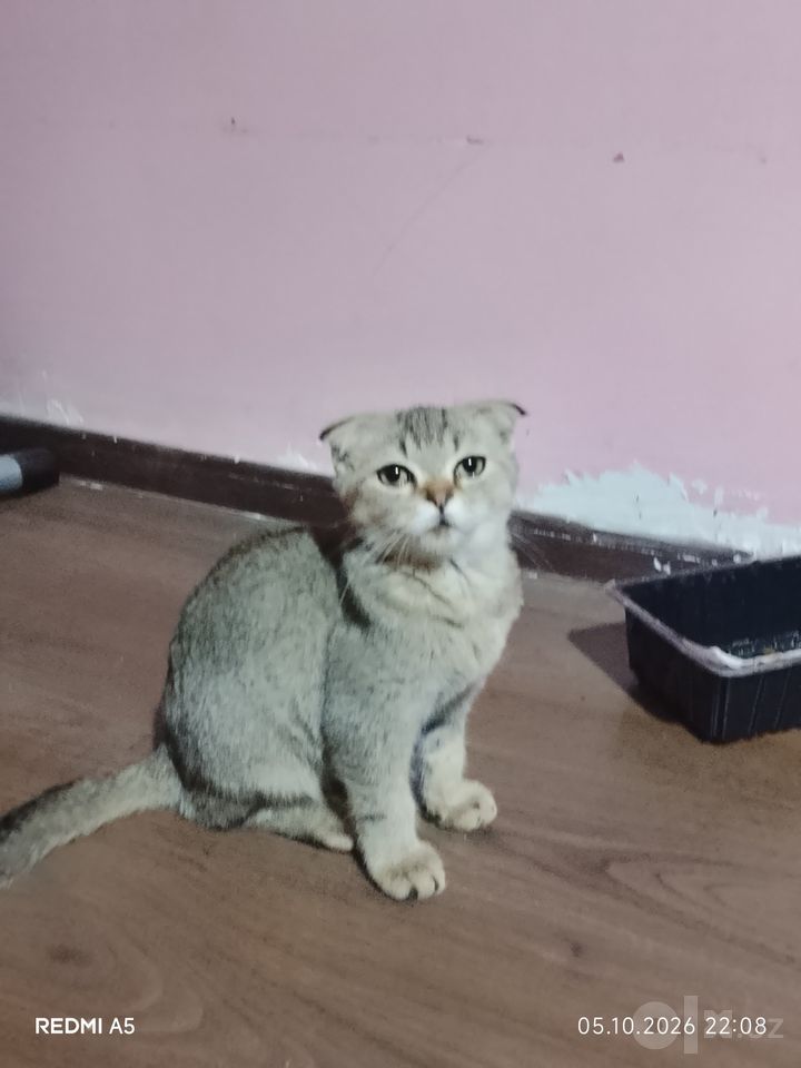 1 500 000 сум