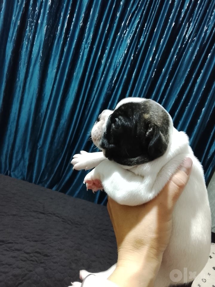 300 USD