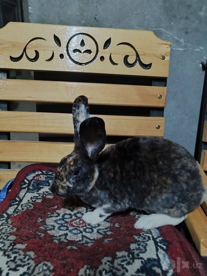 350 000 сум