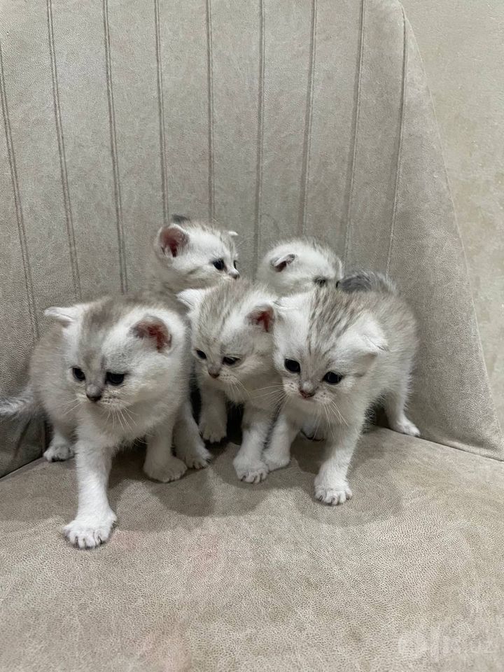 1 000 000 сум