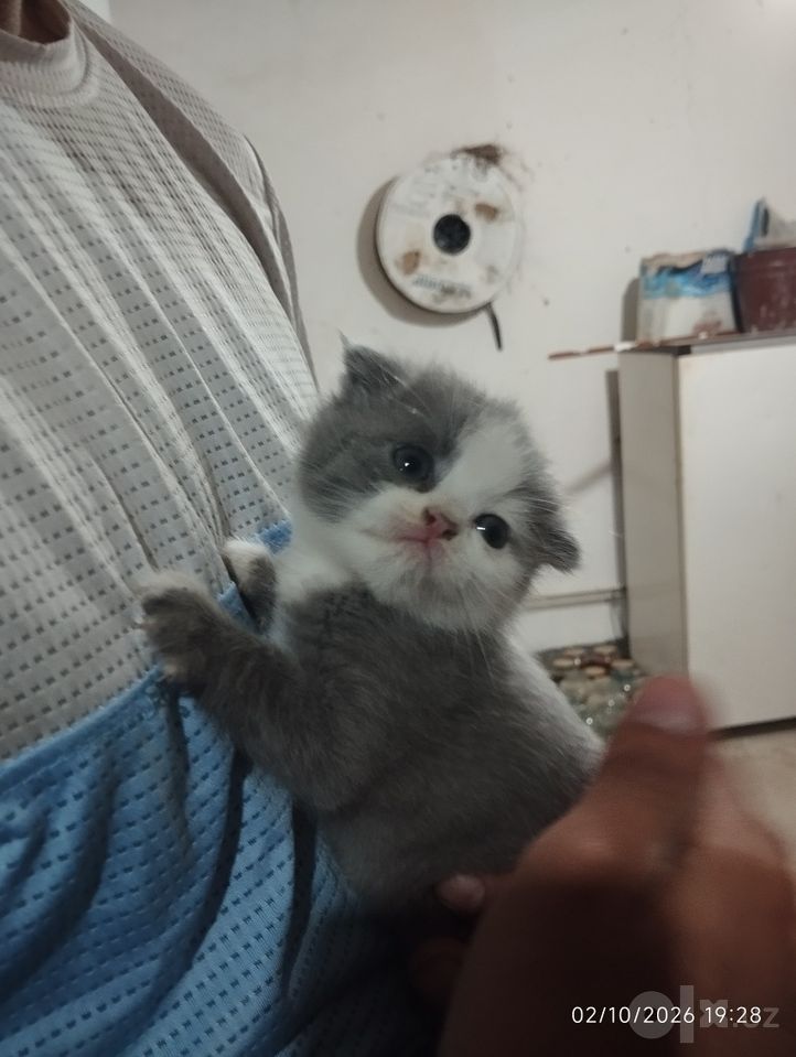 500 000 сум