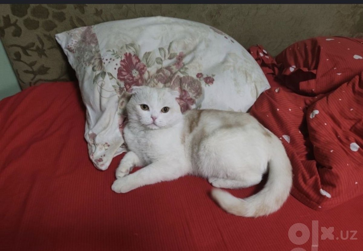 70 USD