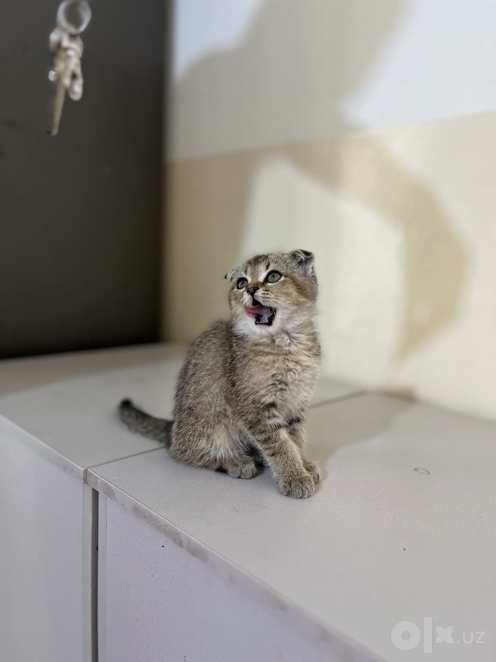 450 000 сум