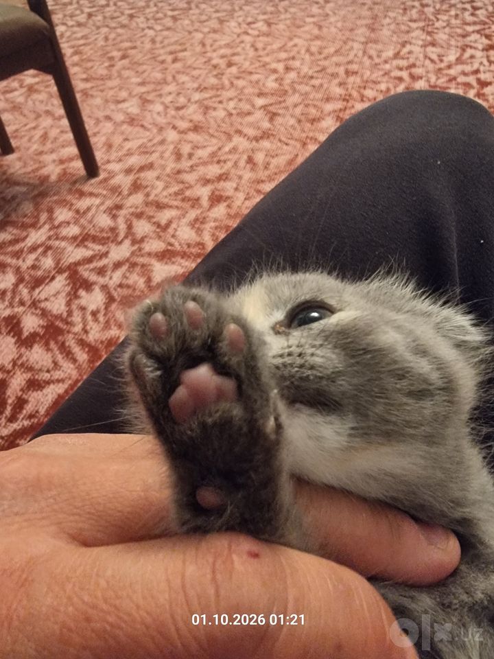 700 000 сум