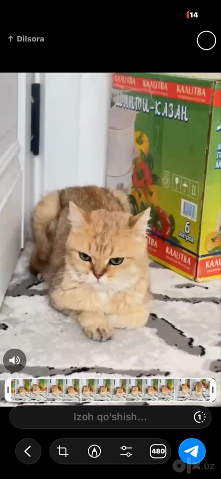 700 000 сум