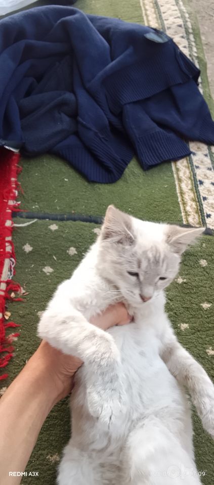 150 000 сум