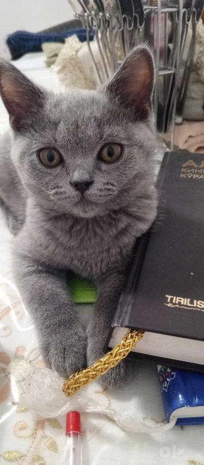 500 000 сум