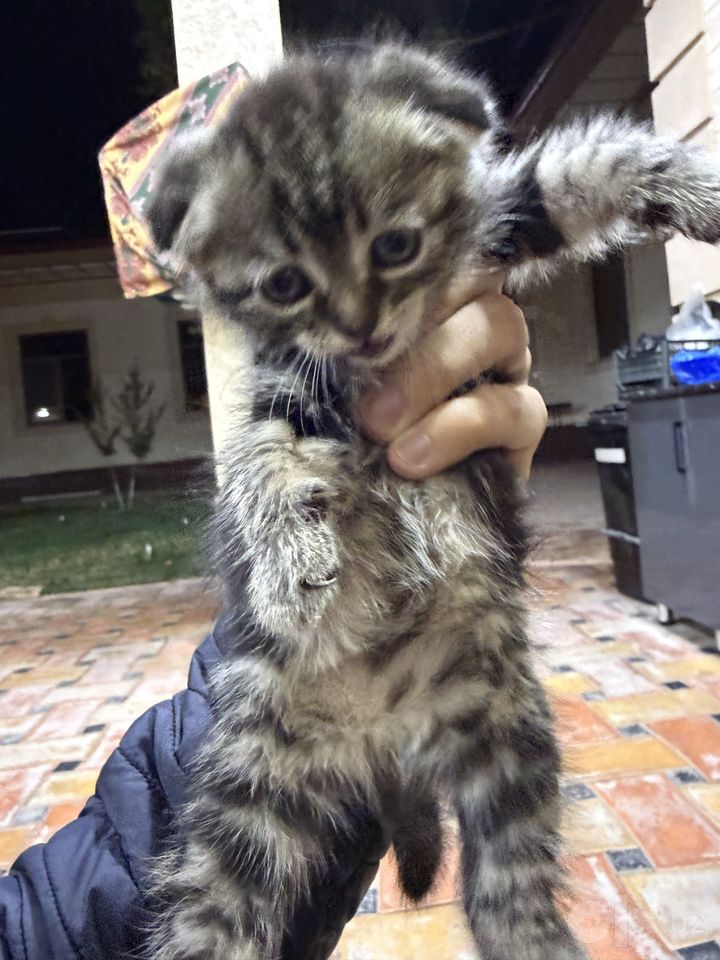 60 USD