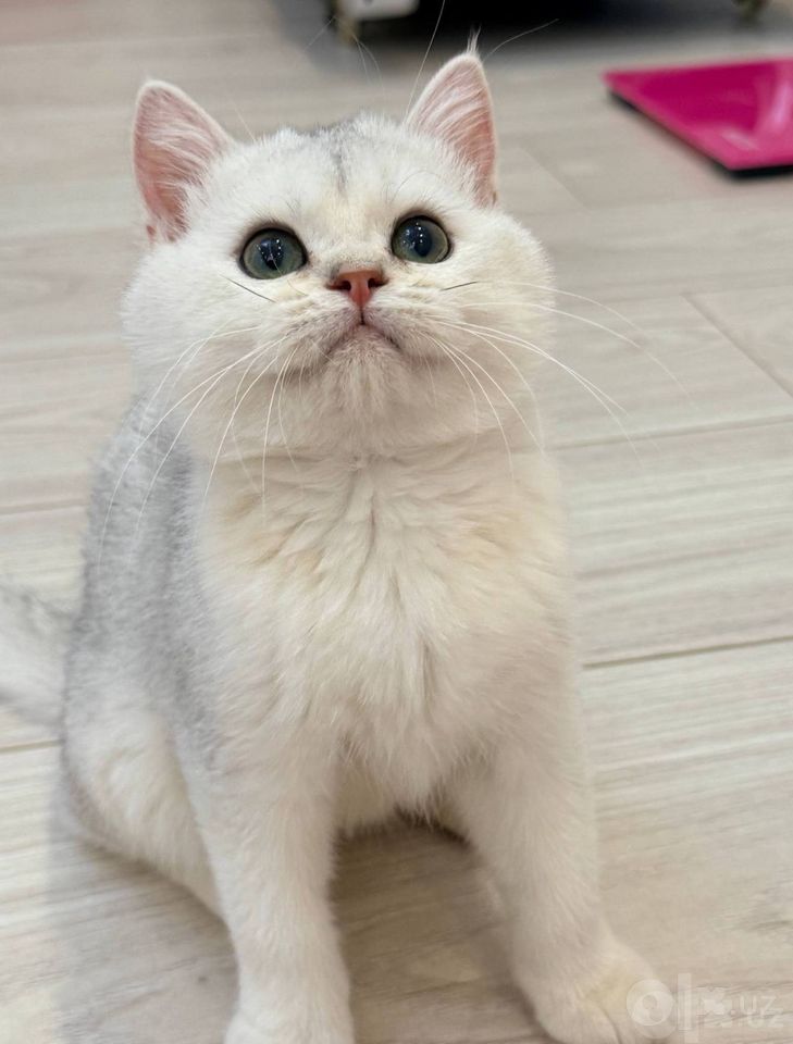 1 500 000 сум