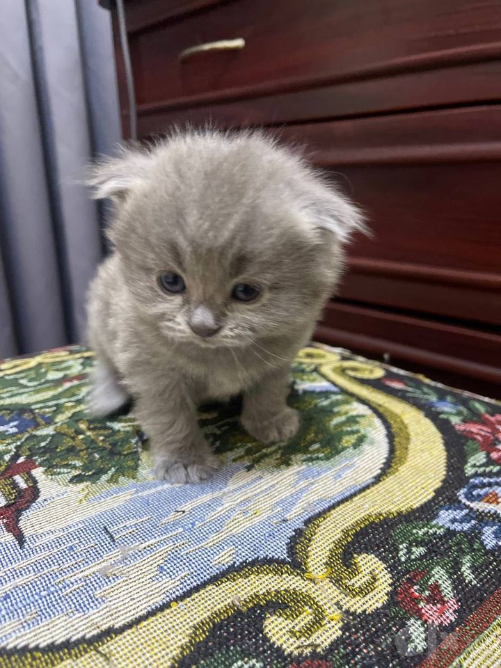 1 250 000 сум