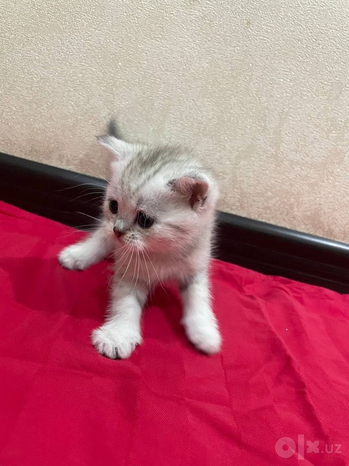1 000 000 сум