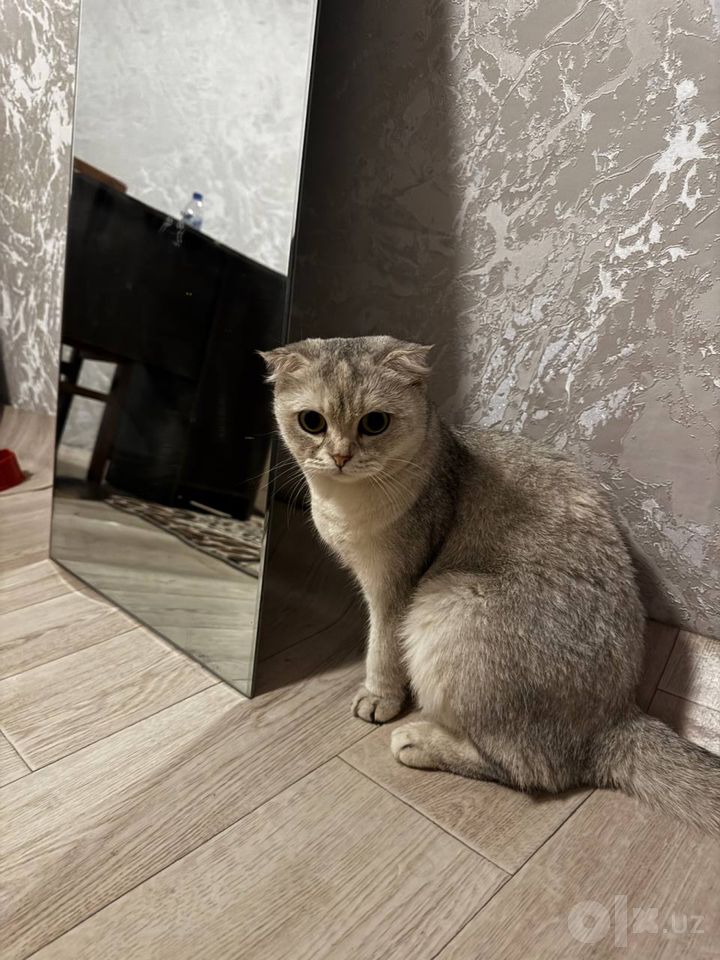 50 USD