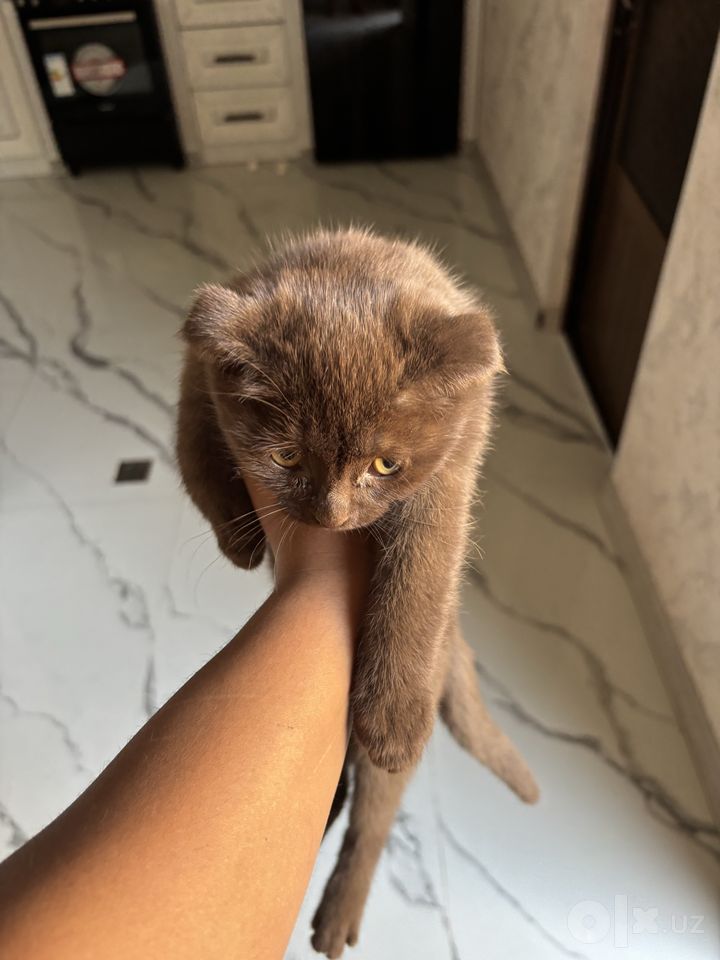 1 000 000 сум