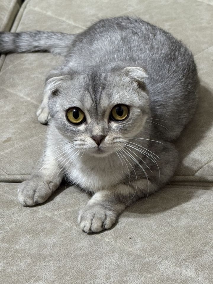 120 USD