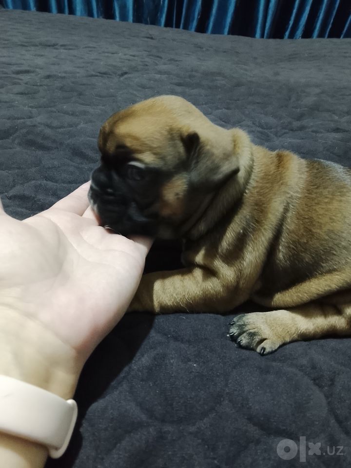 300 USD