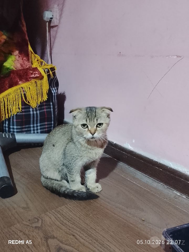 1 500 000 сум