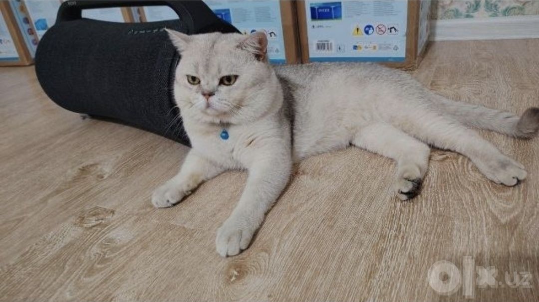 1 200 000 сум