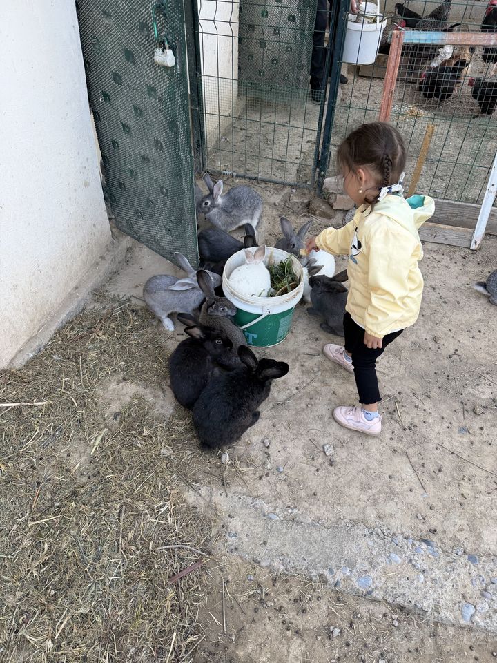 75 000 сум