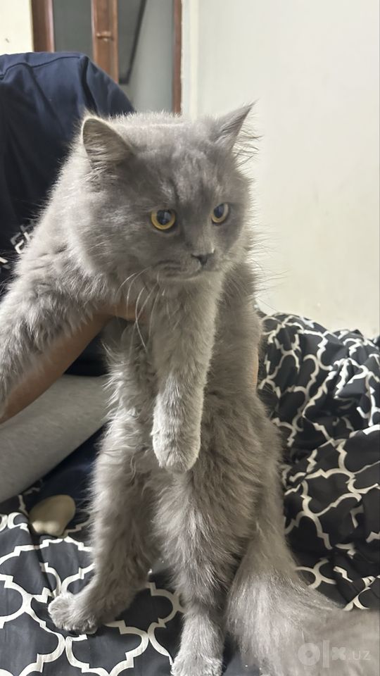1 700 000 сум