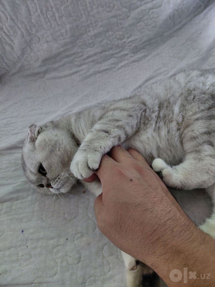 1 000 000 сум